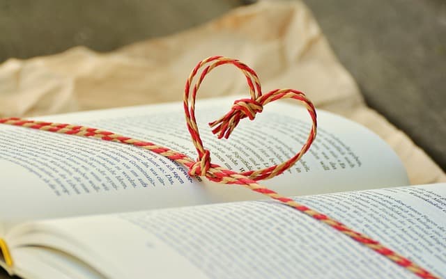 Comment organiser un webinar étape par étape pour les débutants